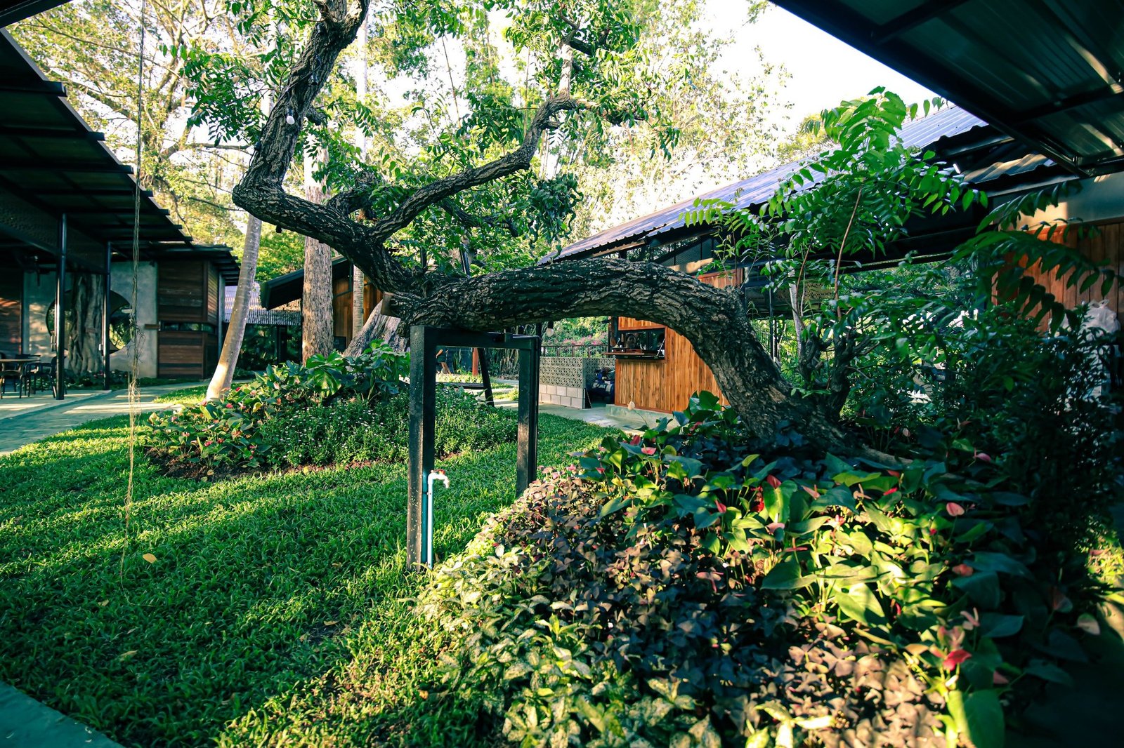 ภาพบรรยากาศร้านคดข้าว 2